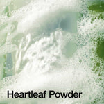 Heartleaf Quercetinol Pore Deep Cleansing Foam - AnuaKorea